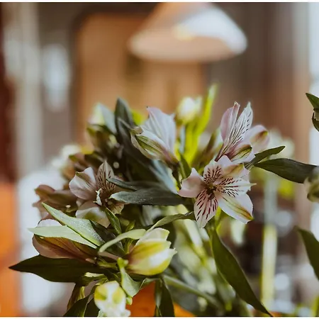 Hébergement de vacances Elins *