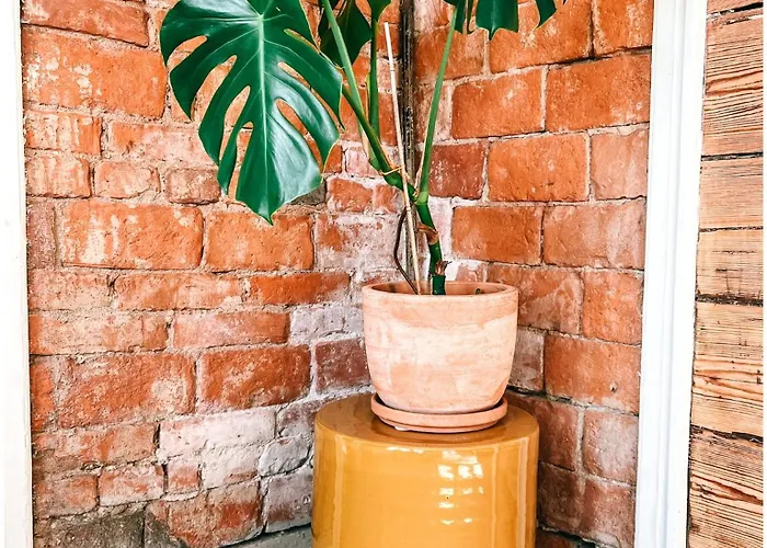 Дом отдыха Elins